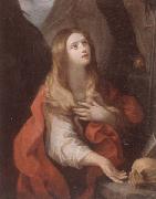 unknow artist The penitent magdalene oil painting artist